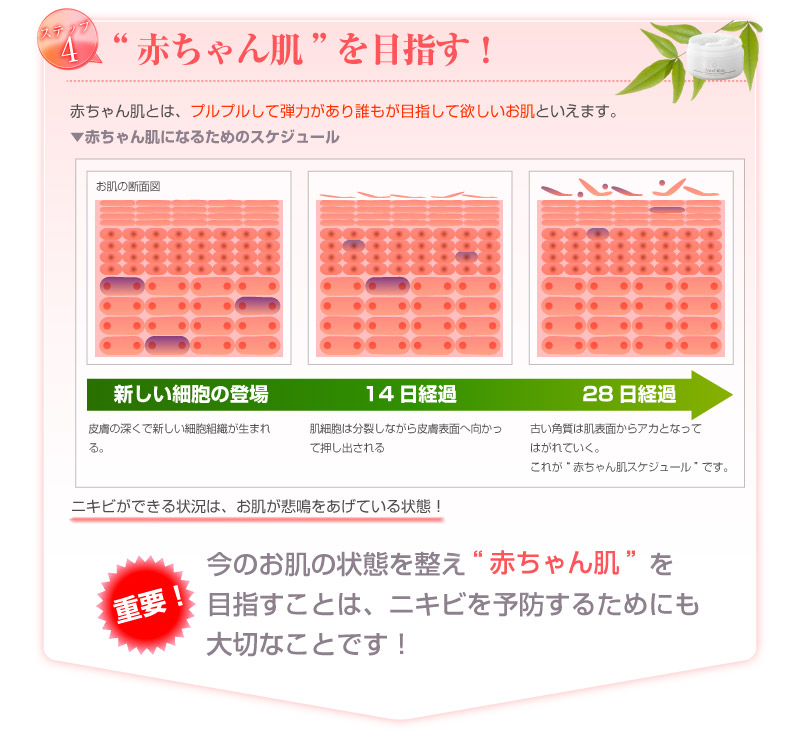 ステップ4「赤ちゃん肌を目指す」